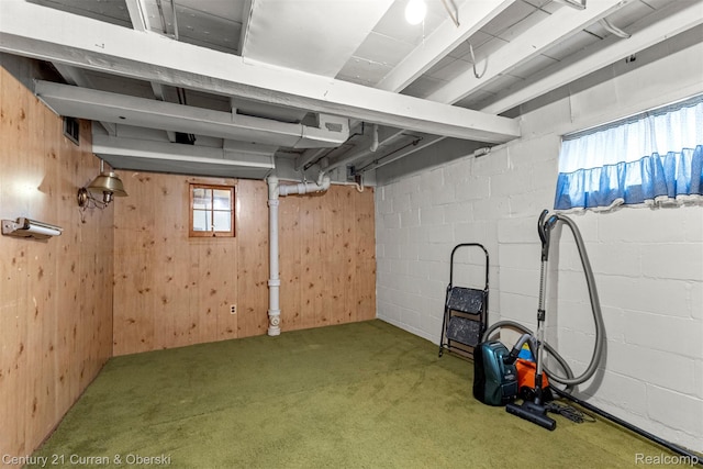2143 Boldt St, Dearborn, MI 48124 - basement with carpet flooring and wood walls