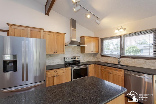 6337 Raymar St, Erie, MI 48133 - kitchen with appliances with stainless steel finishes, wall chimney exhaust hood, a sink, vaulted ceiling, and decorative backsplash