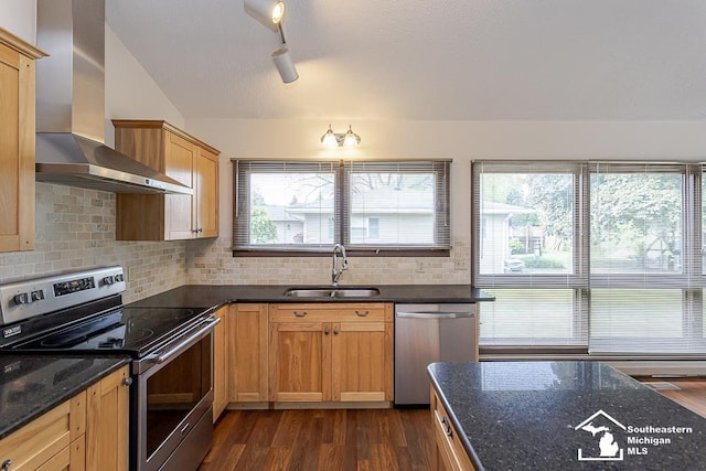 6337 Raymar St, Erie, MI 48133 - kitchen featuring appliances with stainless steel finishes, wall chimney range hood, a sink, backsplash, and dark wood-style floors