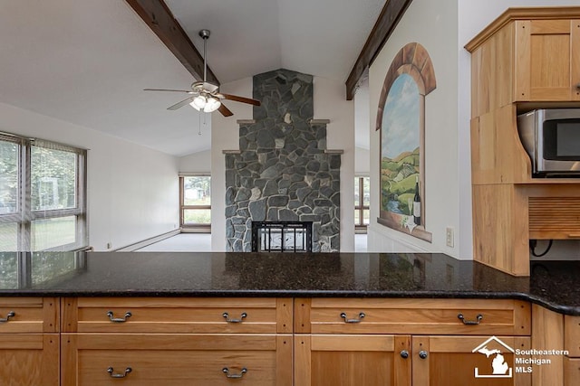 6337 Raymar St, Erie, MI 48133 - kitchen with stainless steel microwave, a ceiling fan, dark stone counters, and a fireplace