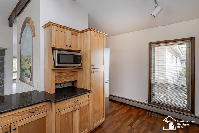 6337 Raymar St, Erie, MI 48133 - kitchen with stainless steel microwave, dark stone counters, dark wood-style flooring, and a baseboard heating unit