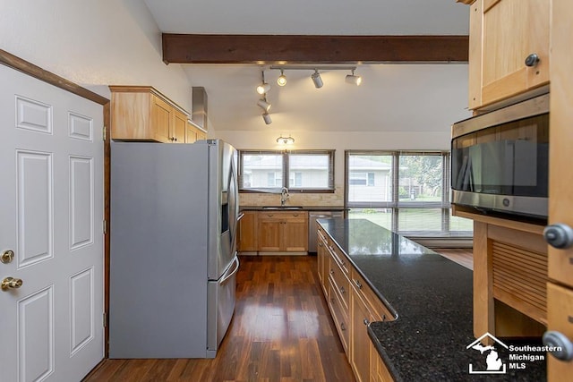 6337 Raymar St, Erie, MI 48133 - kitchen with stainless steel appliances, a sink, light brown cabinetry, dark stone countertops, and dark wood finished floors