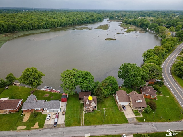 27145 James Ave, Flat Rock, MI 48134 - bird's eye view of a large body of water and a forest
