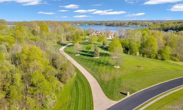 4143 Longview Dr, Lapeer, MI 48446 - bird's eye view of a nearby body of water