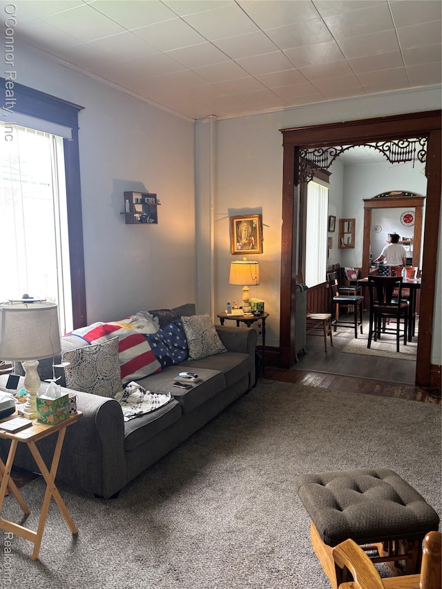 236 S Elizabeth St, Marine City, MI 48039 - view of carpeted living room