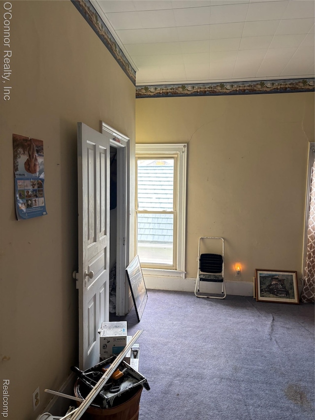 236 S Elizabeth St, Marine City, MI 48039 - miscellaneous room featuring carpet floors
