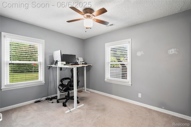 6226 Rowley Blvd, Waterford, MI 48329 - office space featuring a ceiling fan, carpet flooring, baseboards, and a textured ceiling