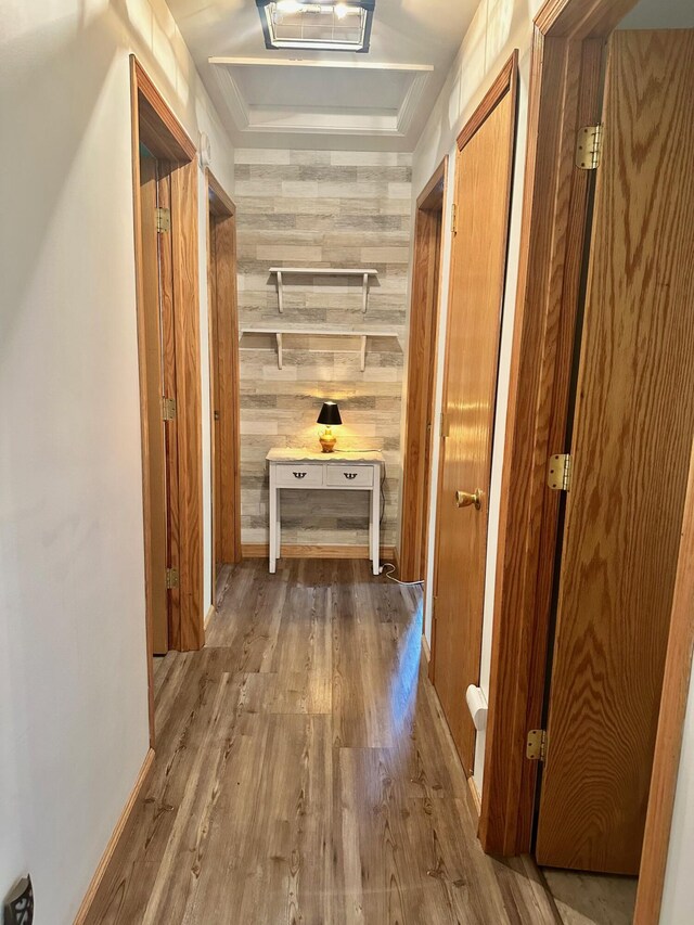 558 Terry St, Muskegon, MI 49442 - hallway featuring wood finished floors and wood walls