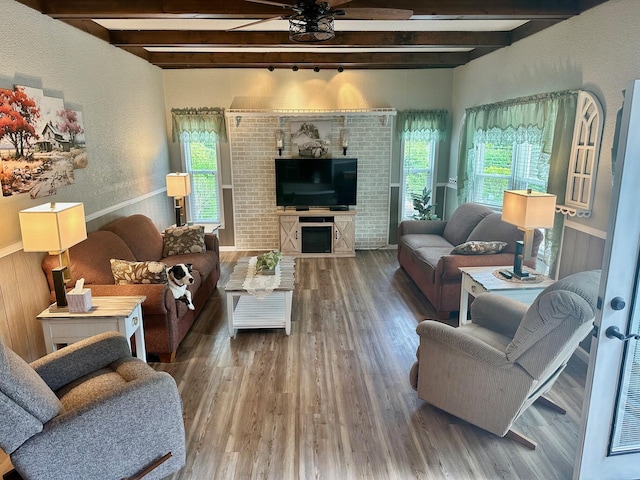 558 Terry St, Muskegon, MI 49442 - living room featuring beamed ceiling, healthy amount of natural light, ceiling fan, wood finished floors, and a wainscoted wall