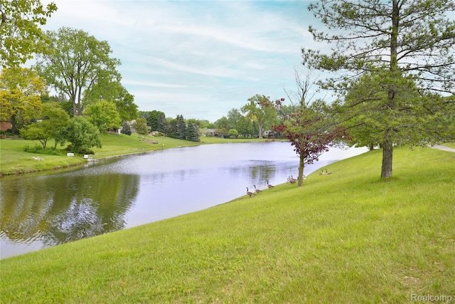 6835 Limerick Ln, Troy, MI 48098 - water view
