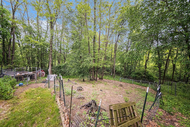 3225 Fishville Rd, Grass Lake, MI 49240 - view of yard featuring a garden