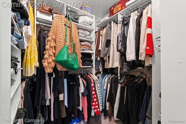 5182 Shady Creek Dr, Troy, MI 48085 - view of walk in closet