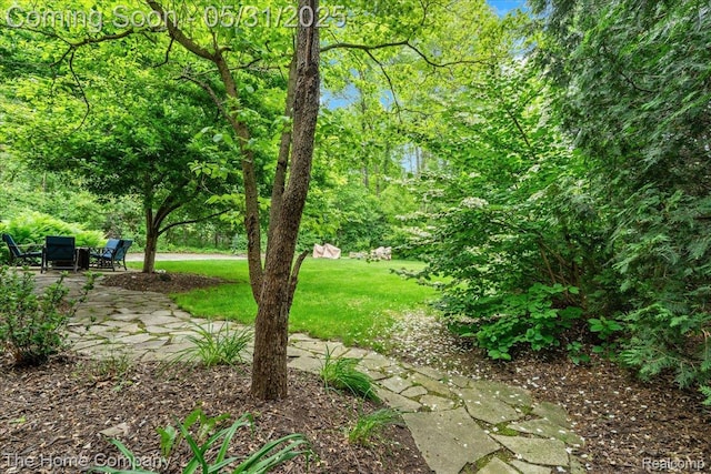 5182 Shady Creek Dr, Troy, MI 48085 - view of green lawn with a patio area