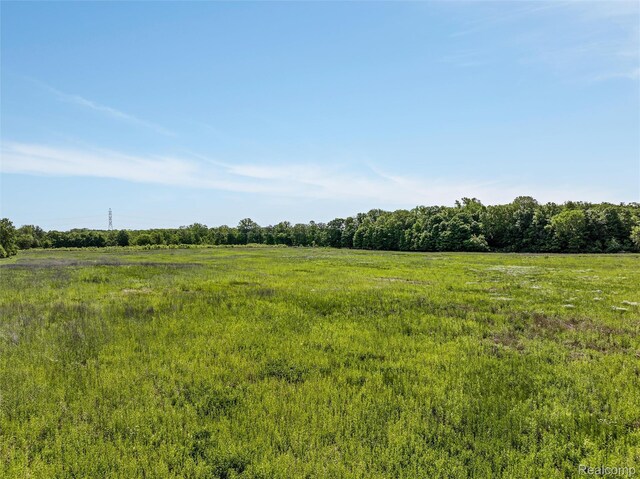 0 Tower Rd, South Lyon, MI 48178 - photo 11