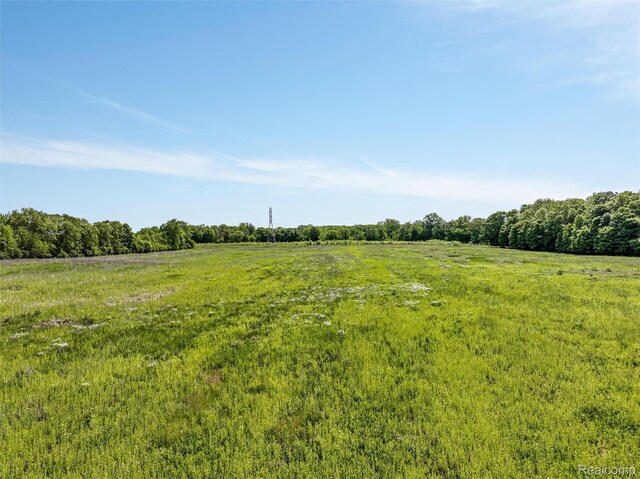 0 Tower Rd, South Lyon, MI 48178 - photo 10