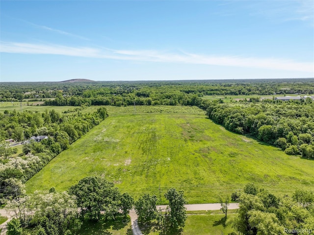 0 Tower Rd, South Lyon, MI 48178 - photo 14