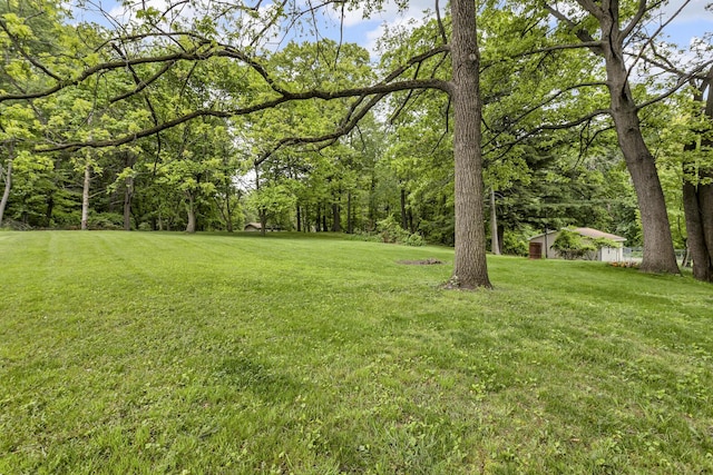 547 Pershing Ave, Jackson, MI 49203 - view of green lawn