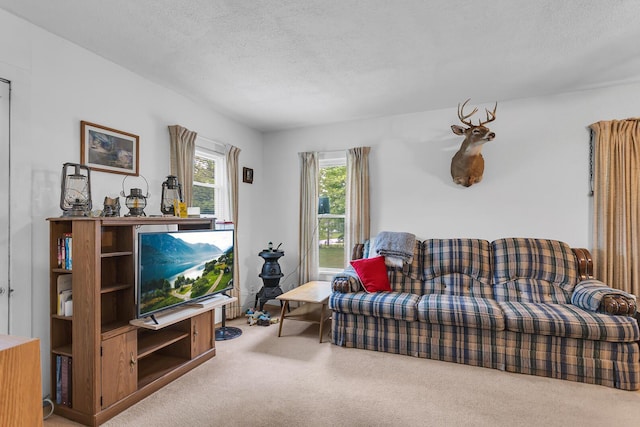 547 Pershing Ave, Jackson, MI 49203 - living area with carpet and a textured ceiling