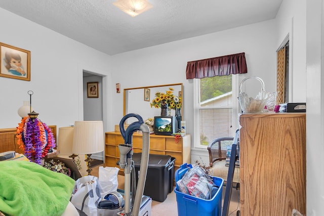 547 Pershing Ave, Jackson, MI 49203 - bedroom featuring carpet and a textured ceiling