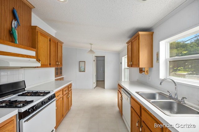17055 Blackfoot Trl, Howard City, MI 49329 - kitchen featuring white appliances, a textured ceiling, light countertops, a sink, and light flooring