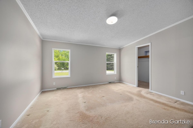 17055 Blackfoot Trl, Howard City, MI 49329 - unfurnished bedroom with ornamental molding, a textured ceiling, carpet, baseboards, and a spacious closet