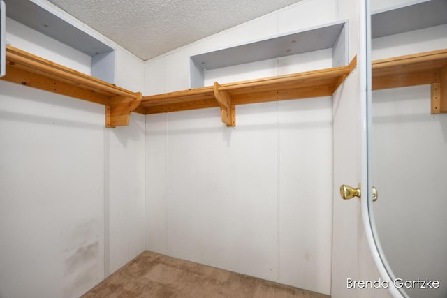 17055 Blackfoot Trl, Howard City, MI 49329 - walk in closet with carpet floors