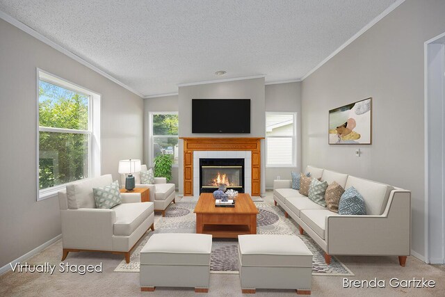 17055 Blackfoot Trl, Howard City, MI 49329 - living room with healthy amount of natural light, a textured ceiling, baseboards, and ornamental molding