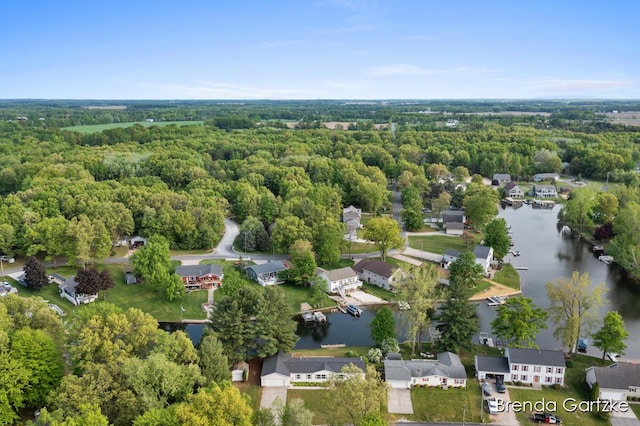 17055 Blackfoot Trl, Howard City, MI 49329 - aerial perspective of suburban area with a nearby body of water and a heavily wooded area