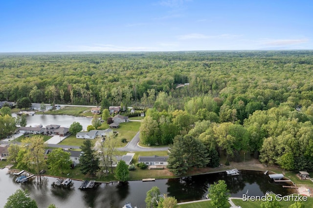 17055 Blackfoot Trl, Howard City, MI 49329 - view of property location featuring a forest and a large body of water