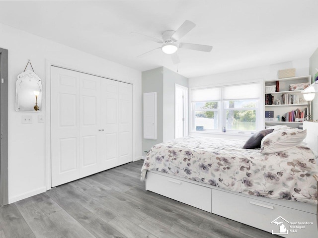 11963 Egan Hwy, Brooklyn, MI 49230 - bedroom featuring a closet, wood finished floors, and a ceiling fan