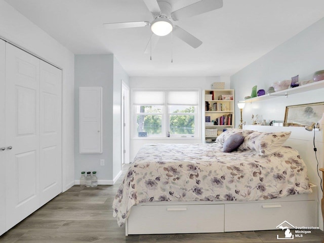 11963 Egan Hwy, Brooklyn, MI 49230 - bedroom with wood finished floors, a closet, and a ceiling fan