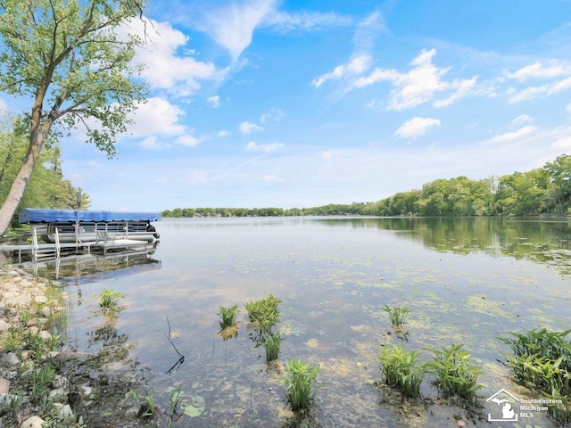 11963 Egan Hwy, Brooklyn, MI 49230 - water view with a dock and a forest