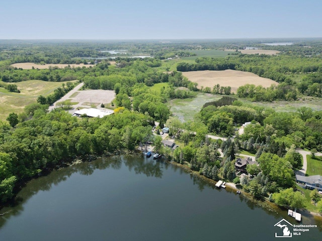 11963 Egan Hwy, Brooklyn, MI 49230 - drone / aerial view of a nearby body of water
