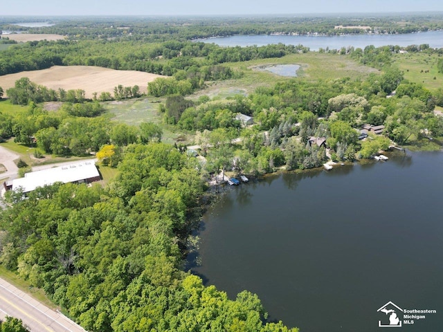11963 Egan Hwy, Brooklyn, MI 49230 - drone / aerial view of a nearby body of water and a forest