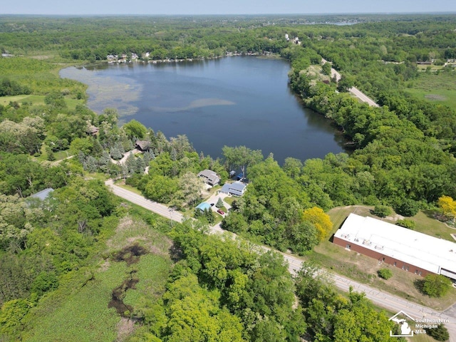 11963 Egan Hwy, Brooklyn, MI 49230 - aerial overview of property's location featuring a forest and a large body of water