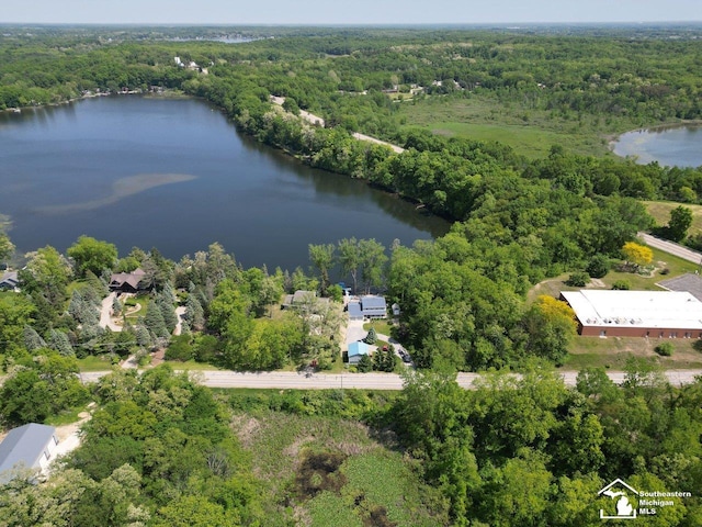 11963 Egan Hwy, Brooklyn, MI 49230 - aerial view of property and surrounding area with a heavily wooded area and a nearby body of water