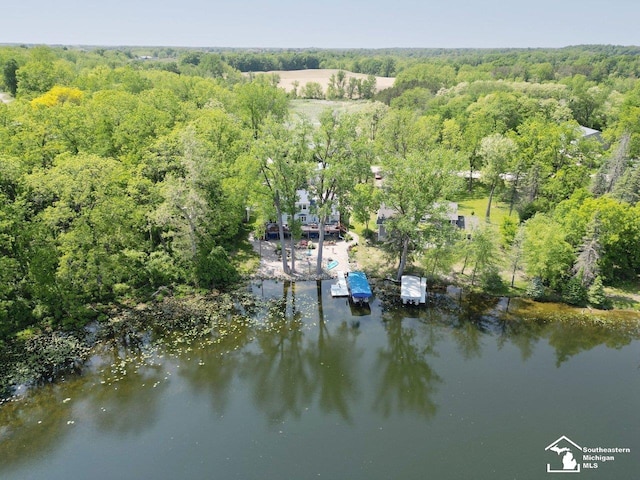 11963 Egan Hwy, Brooklyn, MI 49230 - aerial view of a heavily wooded area and a large body of water