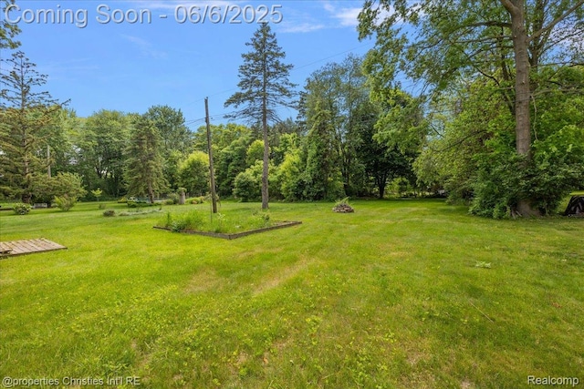 15501 Portis St, Northville, MI 48170 - view of green lawn