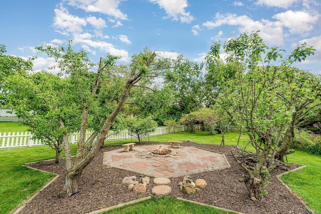 424 Gale Ct, Ithaca, MI 48847 - view of yard with a fire pit and a patio