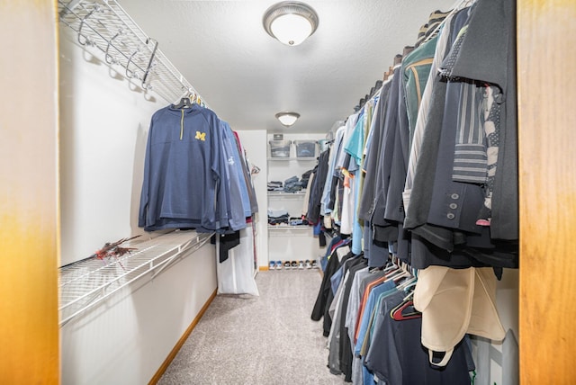 424 Gale Ct, Ithaca, MI 48847 - walk in closet with carpet floors