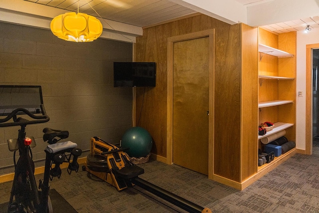 35 Fultonwood Dr SE, Grand Rapids, MI 49503 - workout room featuring wood walls, built in features, and carpet flooring