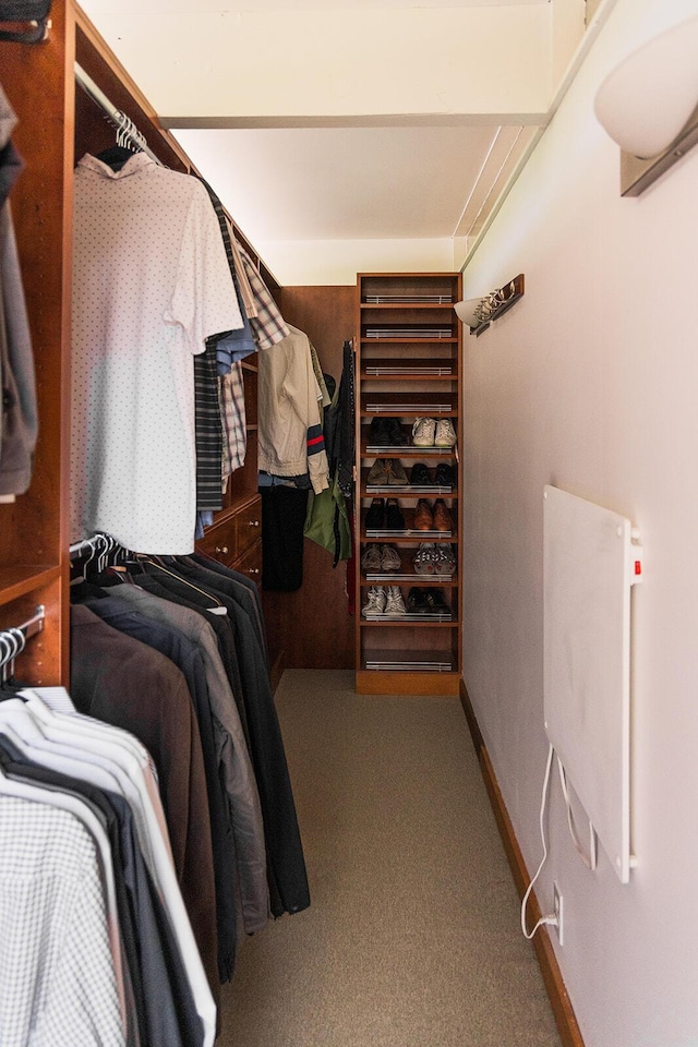35 Fultonwood Dr SE, Grand Rapids, MI 49503 - spacious closet with carpet