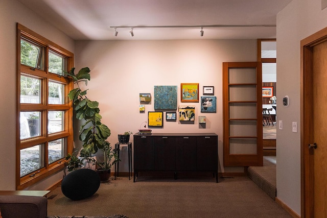 35 Fultonwood Dr SE, Grand Rapids, MI 49503 - interior space featuring carpet flooring, baseboards, and track lighting