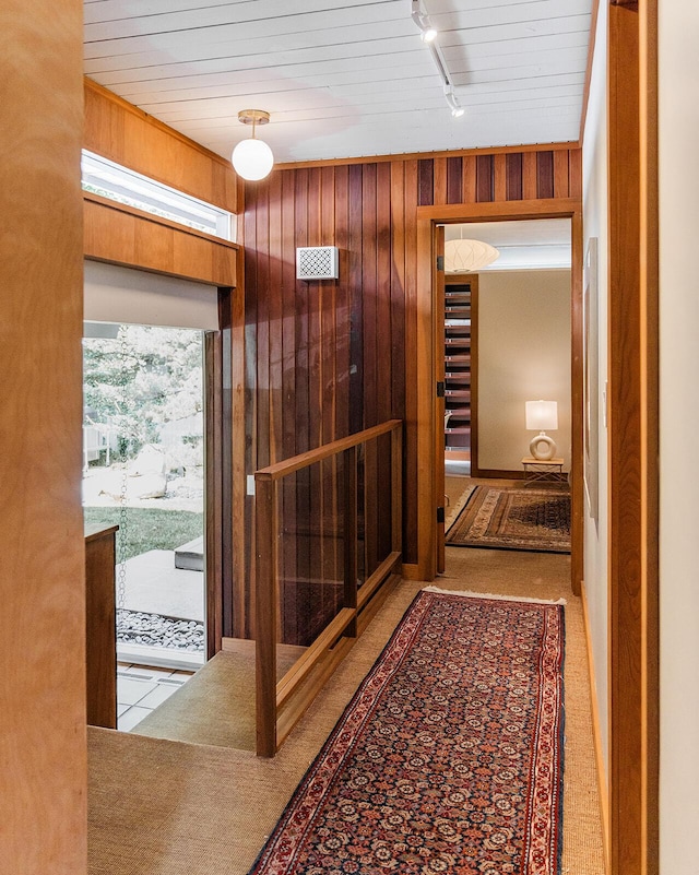 35 Fultonwood Dr SE, Grand Rapids, MI 49503 - hall featuring rail lighting, wood walls, and carpet