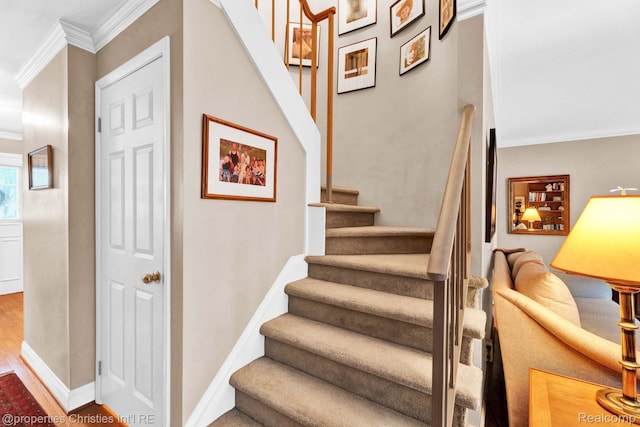 1874 Wickham St Unit 68, Royal Oak, MI 48073 - stairway featuring ornamental molding, wood finished floors, and baseboards