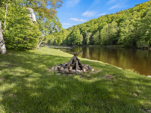 17465 Rapids Dr, Hersey, MI 49639 - view of green lawn featuring a view of trees and a water view