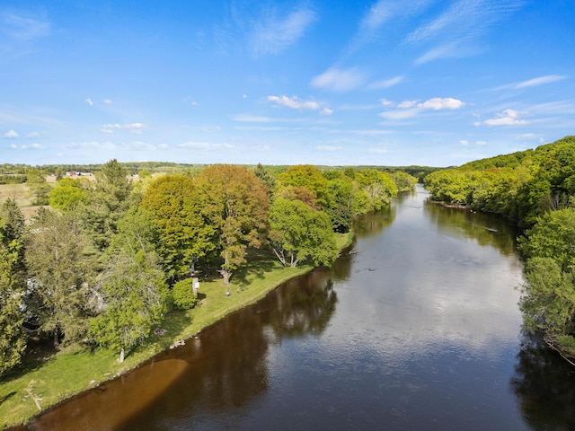 17465 Rapids Dr, Hersey, MI 49639 - water view featuring a heavily wooded area