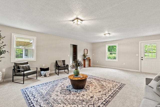 17465 Rapids Dr, Hersey, MI 49639 - living area with carpet flooring, a textured ceiling, and baseboards