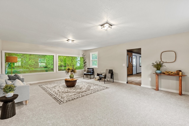 17465 Rapids Dr, Hersey, MI 49639 - carpeted living room featuring baseboards and a textured ceiling