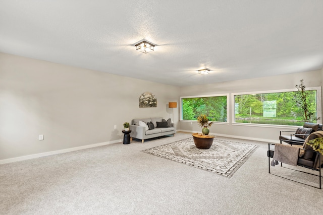 17465 Rapids Dr, Hersey, MI 49639 - carpeted living area with baseboards and a textured ceiling